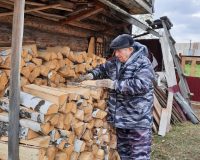 помощь в складировании дров