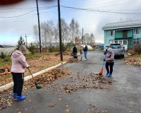 волонтеры в уборке территории